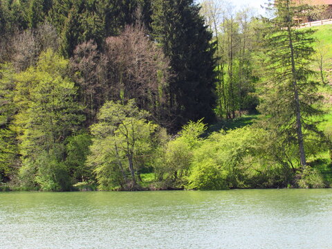 Sch&ouml;ner Lauser Weiher