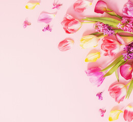 spring flowers on pink background