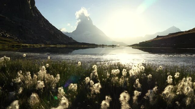 Wool grass at the Riffelsee with a view toward the famous Matterhorn.