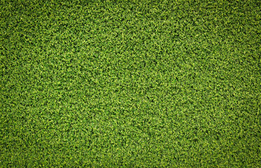 Obraz premium top view green grass texture for background