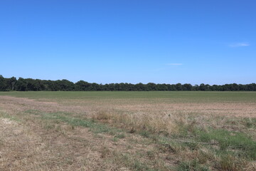 Obraz premium field and sky