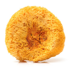 Tremella fuciformis on white background 