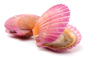 Raw scallop on white background 