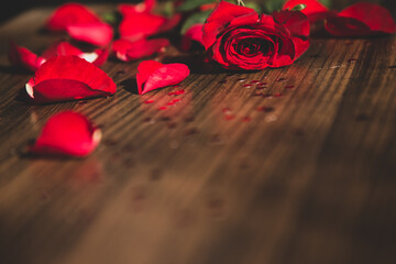 Romantic background with red rose on wood table,Valentine day,Selective focus