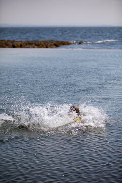 Carey Falling Off Paddle Board 7/7