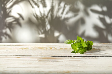Fresh mint decoration on table and free space for your decoration 