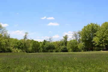 The grass field in the countryside on a sunny day.