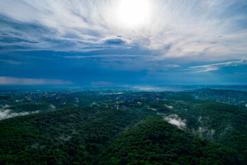 Aerial view of forest and fog