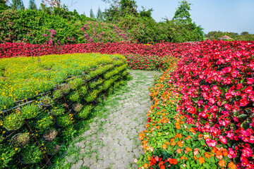 A brick stone pathway in vivid multi color blossom various flowers garden. Beautiful blooming...