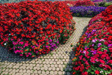 A brick stone pathway in vivid multi color blossom various flowers garden. Beautiful blooming flowers fields background in spring season.