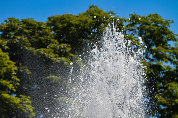 The jet from the fountain against the background of trees. Splashing water. 