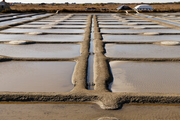 Marais salant sur l'&icirc;le de Noirmoutier