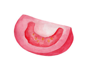 Ripe tomato slice isolated on white background. Vegetable hand-drawn in watercolor. Healthy food. Environmentally friendly product.