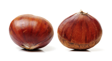 Fresh chestnuts on white background