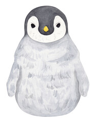 Watercolor illustration. The penguin is a small cub with a yellow beak. Isolated on a white background.