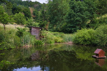 Obraz premium Idyllischer Dorfteich mit kleinem roten Entenhaus und Spiegelung des Himmels, Thüringen, Deutschland