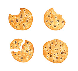 Chocolate chip cookie watercolor illustration. Hand illustration isolated on white background. Food, dessert, flour. Set.