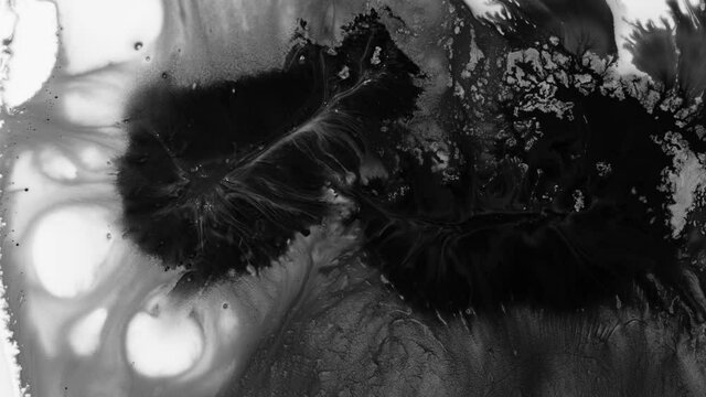 Dirty black spot spreads over a white background. Effect of pollution or germination of dishonesty. Template for motion design or advertising
