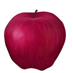 Digital illustration. A whole red apple. Ripe fruit from the garden. Isolated on a white background.
