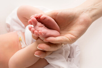 hands of parents. the legs of the newborn in the hands of mom and dad. baby's legs in his hands. 
