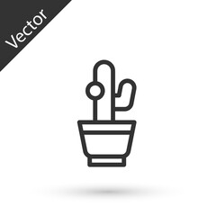 Grey line Cactus and succulent in pot icon isolated on white background. Plant growing in a pot. Potted plant sign. Vector