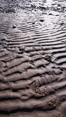 tire tracks in sand