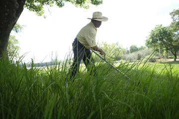 Hispanic male farmer using an old scythe in cutting weeds on a farm