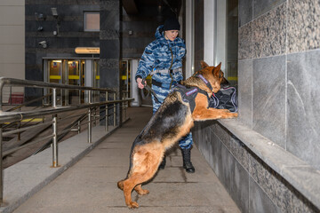 Fototapeta na wymiar Female police officer with a trained german shepherd dog sniffs out drugs or bomb in luggage.