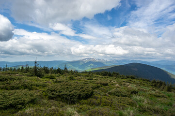 Fototapeta premium Beautiful landscape of mountain ranges and forests in the Ukrainian carpathians