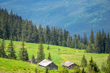 Fototapeta na wymiar Beautiful landscape forest and glade with wooden houses in the Carpathian mountains