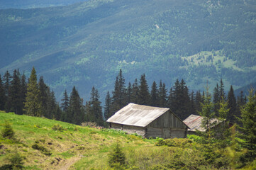 Yasinia village in the Ukrainian carpathians in summer
