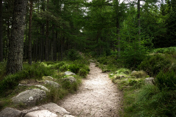 Cairngorms National Park, Aberdeenshire, Scotland, UK. Scottish rural landscape.