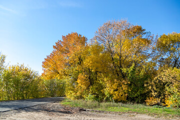 Autumn landscape with road and yellow trees