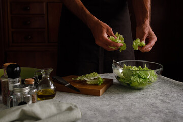 a man prepares a vegetable salad on a dark background. Dark photo style. Rips a lettuce leaf