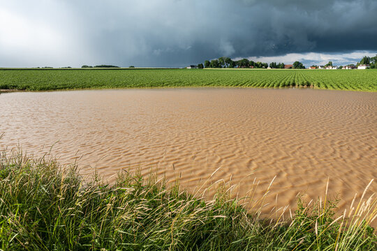 Champ de pomme de terre inond&eacute; suite &agrave; de violents orages. Ciel tr&egrave;s nuageux et orageux