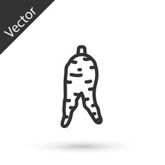 Grey line Ginseng root icon isolated on white background. Vector