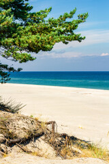 Summer landscape. A lonely beach with white sand and blue sea. View of Baltic sea coast.  Hel Peninsula, Hel, Pomerania, Poland
