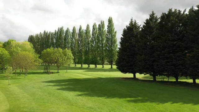 New folder/regular row of tall trees. Golf green with hole position marked by flag on pole