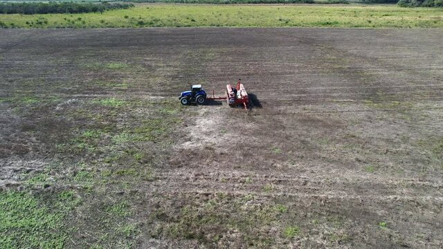 sowing wheat with tractor and seeder