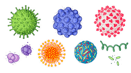 Fototapeta premium Different kinds of virus, sketch collection. Hand drawn illustration, vintage engraved style. Respiratory virus infection. Corona virus. Coronavirus 2019-nCoV and other viruses. Macro drawing.