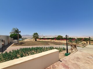Fototapeta premium oasis in the desert