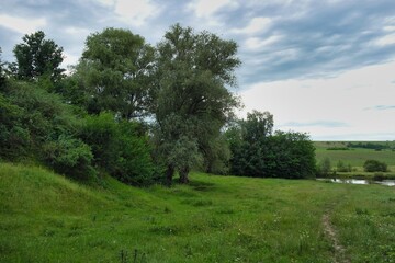 Summer landscape on a riverside flooded meadow with trees and lush green grass