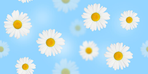 Fototapeta premium Flowers seamless pattern