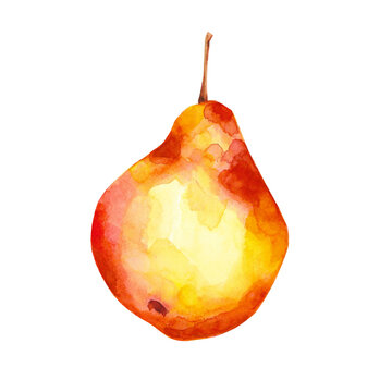 recommend clip art: Watercolor ripe pear illustration. Red and yellow fruit clip art isolated on white background. Bright pear poster, print, card.
