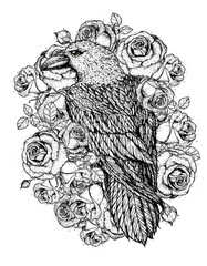 Raven and roses flowers hand drawn illustration. Tattoo vintage print. White raven and red roses.