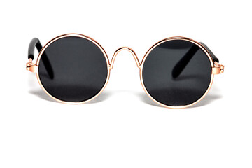 Close-up of round sunglasses on a white background. Gold setting.