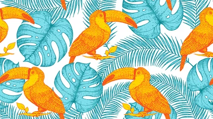 Papier Peint photo Sous la mer Modèle sans couture avec des feuilles de toucan et de palmier. Illustration vectorielle dessinés à la main. Motif tropical. Illustration de la jungle.