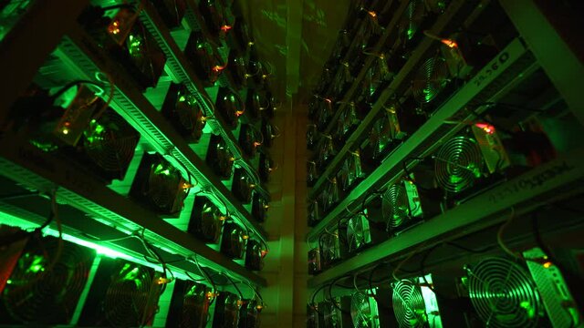 Bitcoin miners in large farm. ASIC mining equipment on stand racks mine cryptocurrency in steel container. Blockchain techology application specific integrated circuit datacenter. Server room lights.