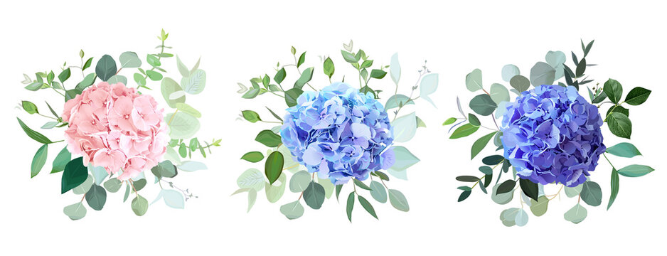 Blue, purple, blush pink hydrangea flowers, emerald greenery and eucalyptus wedding vector bouquets set