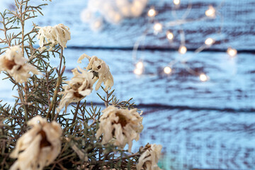 Dried flowers and bokeh in front of rustic wooden background in blue colors. old but unforgettable love. memories.